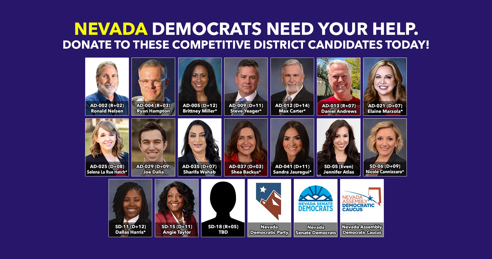 Nevada Filing Deadline Passed Candidates Now Listed 